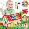 Jojoin Jouets éveil Montessori Jouet Bebe - Jouet Enfant | Jouet de Martelage en Bois avec Xylophone - Trieur de Forme Durabl