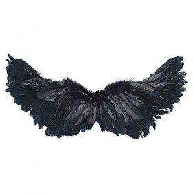 iiniim Ailes dange Oiseau Diable Adulte Enfant Déguisement Ange Accessoires Fille Homme Ailes de Fée Démon en Plumes Noir po