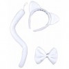 DEGUISE TOI - Kit Chat Blanc Adulte - [Kits Accessoires]