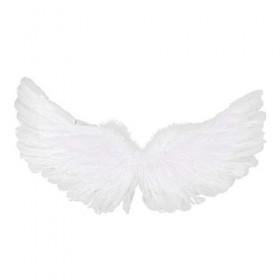 Alvivi Ailes dAnge Blanc Diable Adulte Enfant Ailes de Fée Démon en Plumes Déguisement Ange Accessoires Oiseau Ailes Pour Ca