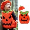 JLOR Déguisement Petite Citrouille Costume Halloween pour Bébé Garçon Fille Ensemble Combinaison à Manches Longues Chapeau et