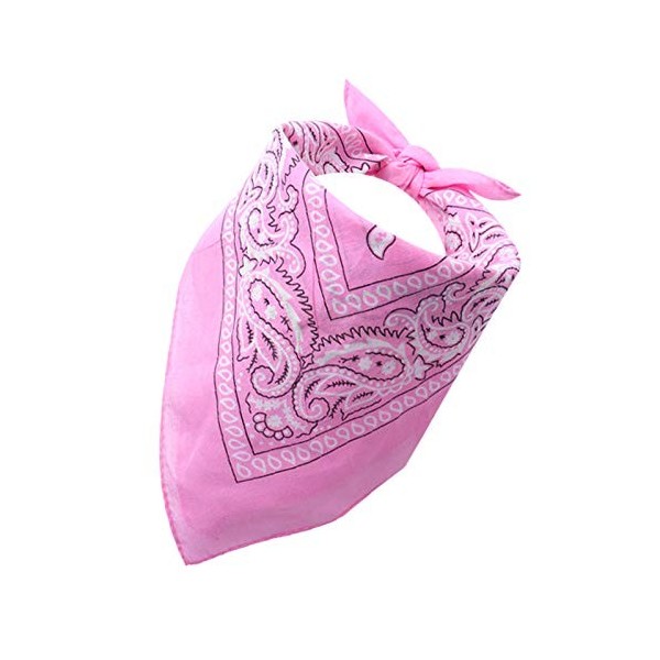 dPois Déguisement Cowboy Cowgirl Enfant Garçon Fille Gilet Western Cowboy Chapeau Costume Accessoires Bandana pour Halloween 