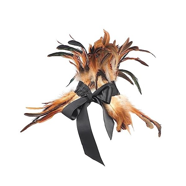 Collier à plumes gothiques victoriennes - Pour Halloween - Performance dHalloween - Plumes naturelles - Collier punk gothiqu