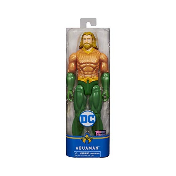 Bizak - Ligue de la Justice 30 cm Aquaman DC Comics Figurine Action 61926870 