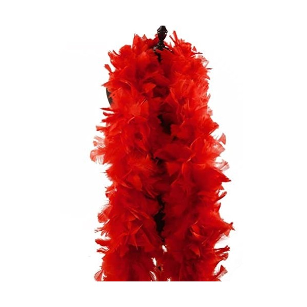 Boa à plumes, accessoires de fête, boa à plumes artificielles, accessoires de déguisement, boa respectueux de lenvironnement