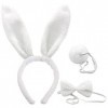 DULSPUE Bandeau Oreilles de Lapin en Peluche, Serre Tête Oreille de Lapin Costume Accessoire Deguisement Fête Décoration,Serr