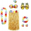 Guirlandes hawaïennes - Kit daccessoires de costume - Jupe dherbe - Guirlande de fleurs Lei Luau - Ananas - Lunettes - Coll