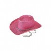 Armona Trading LTD Lot daccessoires de déguisement pour poupée rose et chapeau de cowboy à paillettes