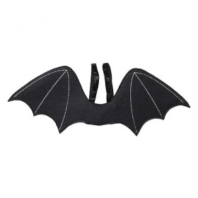 Oshhni Aile de chauve-souris, accessoires de costume daile de, déguisement adulte pour enfants, accessoire daile doiseau p