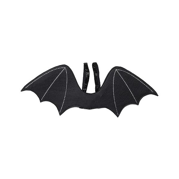 Oshhni Aile de chauve-souris, accessoires de costume daile de, déguisement adulte pour enfants, accessoire daile doiseau p