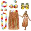 PHOGARY 8PCS Jupe de Hula Kit daccessoires de Costume pour Hawaii Luau Party - Danse Hula avec Fleur Bikini, Hawaïen lei, Pi