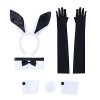 Bunny Costume set pour Femmes Deguisement Lapin adulte, Ensemble daccessoires de lapin avec bandeau oreilles de lapin, nœud 