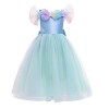 IWEMEK Filles Aurore Costume Princesse Robe Longue en tulle + Accessoires Ensemble La belle au bois dormant Cosplay Halloween