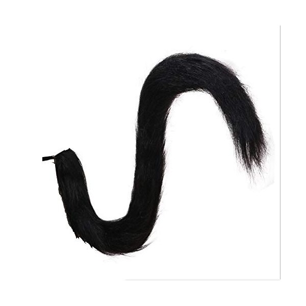 Déguisement queue de chat longue en peluche duveteuse pour cosplay, cosplay, carnaval, accessoire de déguisement noir 