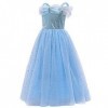 IWEMEK Filles Déguisement Cendrillon Robe de Princesse Sans manches + Accessoires Conte De Fées Cosplay Halloween Carnaval Co