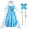 Vicloon Robe Princesse Elsa,5PCS Robe de Princesse Reine des Neiges pour Cosplay Mariage Carnaval Fête danniversaire - avec 