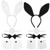 FRCOLOR Lot de 10 accessoires pour déguisement dHalloween avec oreilles de lapin et nœud papillon