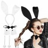 FRCOLOR Lot de 10 accessoires pour déguisement dHalloween avec oreilles de lapin et nœud papillon