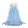 IWEMEK Filles Déguisements Princesse Elsa Robe et Accessoires Reine des Neige 2 Costume de Carnaval Halloween Noël Robes de f