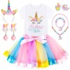 YYDSXK Peach Princesse Déguisement pour Enfant Filles Peach Cosplay Costume Set avec Couronne Collier Accessoire, Princesse T