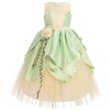 FYMNSI Costume de Fée Clochette pour Filles Enfants Tinkerbell Déguisements Robe Longue Verte avec Papillon Ailes danniversa