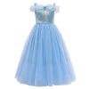 Filles Cendrillon Robe Déguisement Enfant Cinderella Princesse Costume Halloween Carnaval Cosplay Noël Soirée Cérémonie Costu