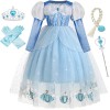 IWFREE Elsa Déguisement Fille la Reine des Neiges Costume Robe de Princesse et Accessoires Cosplay Cendrillon Tulle Robe de S