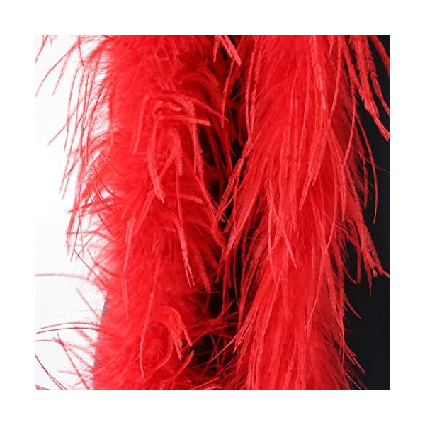 LICHENGTAI Boa en Plumes 2 Mètres, Écharpe en Plumes Décor Boa à Plumes Foulard à Plumes Accessoire de Déguisement Boa Plumes