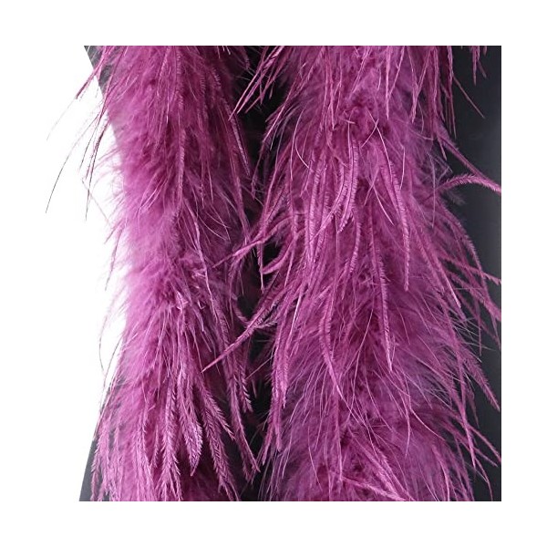 LICHENGTAI Boa en Plumes 2 Mètres, Écharpe en Plumes Décor Boa à Plumes Foulard à Plumes Accessoire de Déguisement Boa Plumes