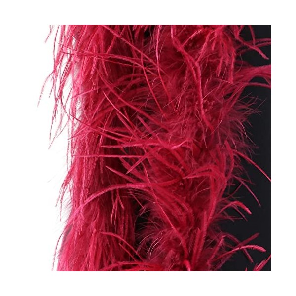 LICHENGTAI Boa en Plumes 2 Mètres, Écharpe en Plumes Décor Boa à Plumes Foulard à Plumes Accessoire de Déguisement Boa Plumes