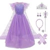 Reine des Neiges Elsa Costume pour fille et enfant Robe en tulle avec accessoires Princesse des Neiges Déguisement Carnaval N