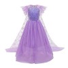 Déguisement de Princesse Elsa pour Fille de la Reine de Glace déguisement Halloween Carnaval Cosplay Manches Volantes Paillet