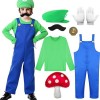 Costume Mario et Luigi Enfant Adulte Casquette Gants Moustache Deguisement Mario Bros Accessoires Cosplay Halloween Carnaval 