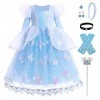 Odizli Cendrillon Costume Enfant Fille Princesse Robe Tulle Longue Robe de Bal Halloween Noël Carnaval Party Cosplay + Access