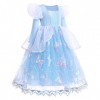 Odizli Cendrillon Costume Enfant Fille Princesse Robe Tulle Longue Robe de Bal Halloween Noël Carnaval Party Cosplay + Access