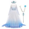 IWEMEK Robe de princesse Elsa 2 pour fille - Costume de Reine des Neiges - Flocon de neige - Accessoires pour cosplay, annive