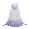 IWEMEK Robe de princesse Elsa 2 pour fille - Costume de Reine des Neiges - Flocon de neige - Accessoires pour cosplay, annive