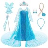 LOBTY Fille Robe de Princesse Elsa avec Accessoires Déguisement de Reine des Neiges Costume de Princesse Anniversaire Fête No