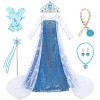 LOBTY Fille Robe de Princesse Elsa avec Accessoires Couronne Collier Déguisement de Reine des Neiges Costume de Princesse Ann