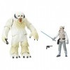 Star Wars E1689 Figurine Pack de 2 Hoth Wampa et Luke Hoth 10 cm