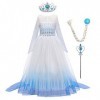 IWEMEK Filles Déguisements Princesse Elsa Robe et Accessoires Reine des Neige 2 Costume de Carnaval Halloween Noël Robes de f