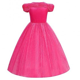 Cnexmin Déguisement Cendrillon Princesse Costume Robe de Princesse Cendrillon Fille Habillage Fête dAnniversaire Halloween N