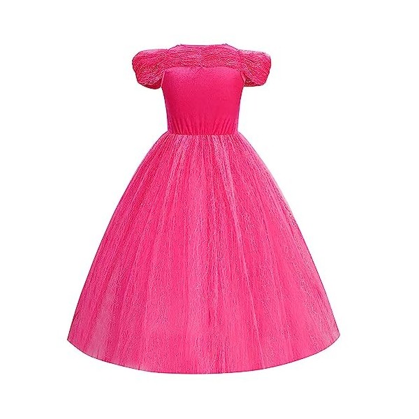 Cnexmin Déguisement Cendrillon Princesse Costume Robe de Princesse Cendrillon Fille Habillage Fête dAnniversaire Halloween N