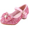 LiUiMiY Chaussure Ballerines Princesse Fille à Talon Paillette pour Déguisement Ceremonie Mariage Carnaval Fête, Rosa, 27 EU 