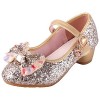 LiUiMiY Chaussure Ballerines Princesse Fille à Talon Paillette pour Déguisement Ceremonie Mariage Carnaval Fête, Rosa, 27 EU 