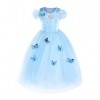 JerrisApparel Robe De Cendrillon Robe De Princesse Costume 100cm, Bleu Ciel avec Accessoires 