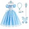 Déguisement de Princesse Cendrillon pour Fille Enfants Cinderella Princesse Costume Halloween Carnaval Cosplay Noël Soirée Ro