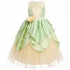 Deguisement Costume Fée Clochette, Robe de Fée Verte avec Bandeau + Bras pour Enfant Fille Vert+Accessoires 11-12 Ans