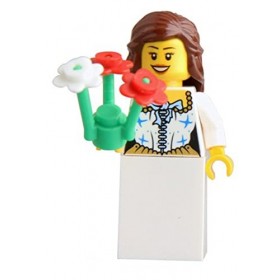 Cxcdxd 2Pcs Minifigures Collection de Calendrier de lavent Mini Figure Set série personnalisé Minifigure de Collection Compa