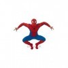 Spiderman Kostüm für Erwachsene | Spiderman Costume